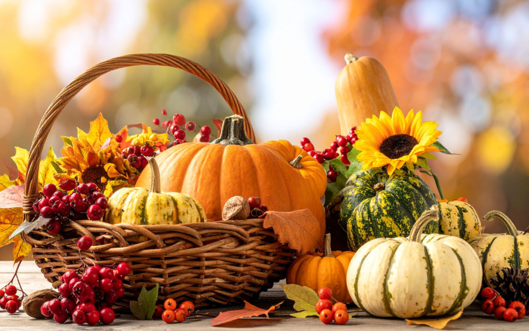 Wealth: An Akashic Perspective