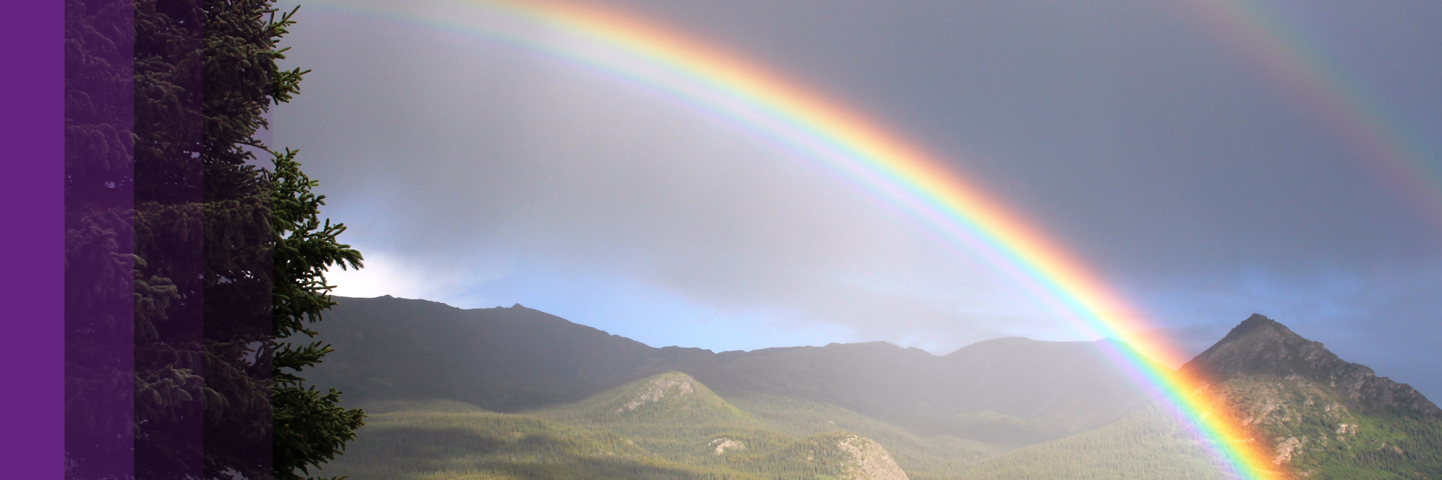 Bring your soul's purposes to life