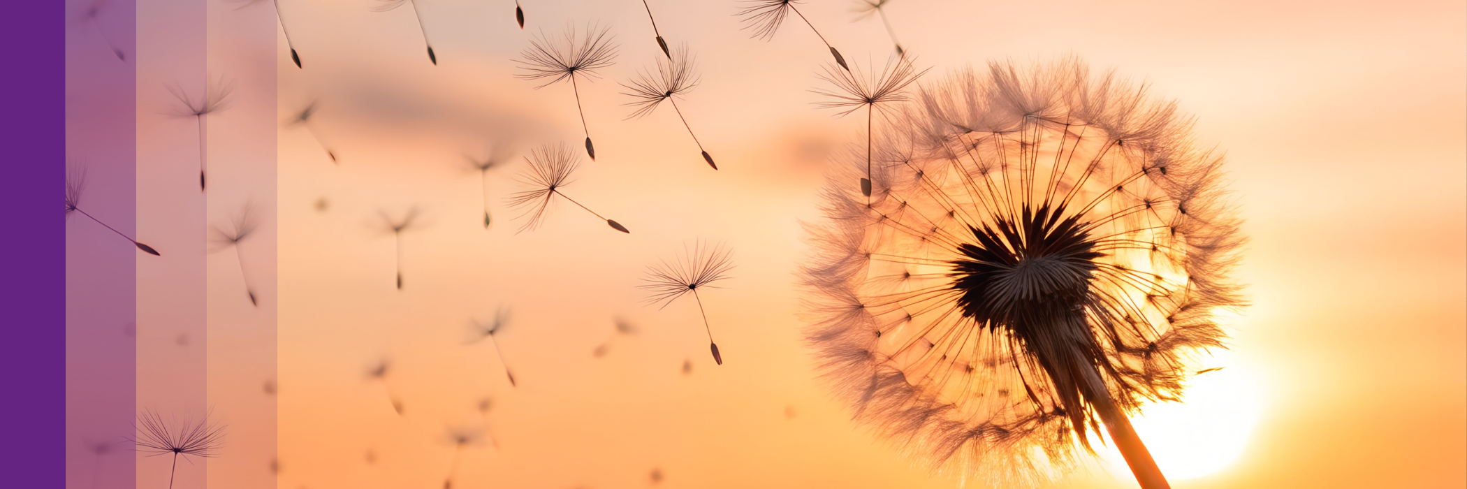 Bring your soul's purposes to life