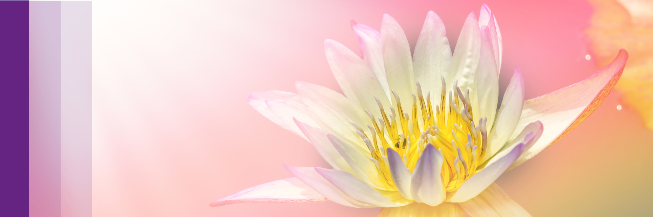 Bring your soul's purposes to life