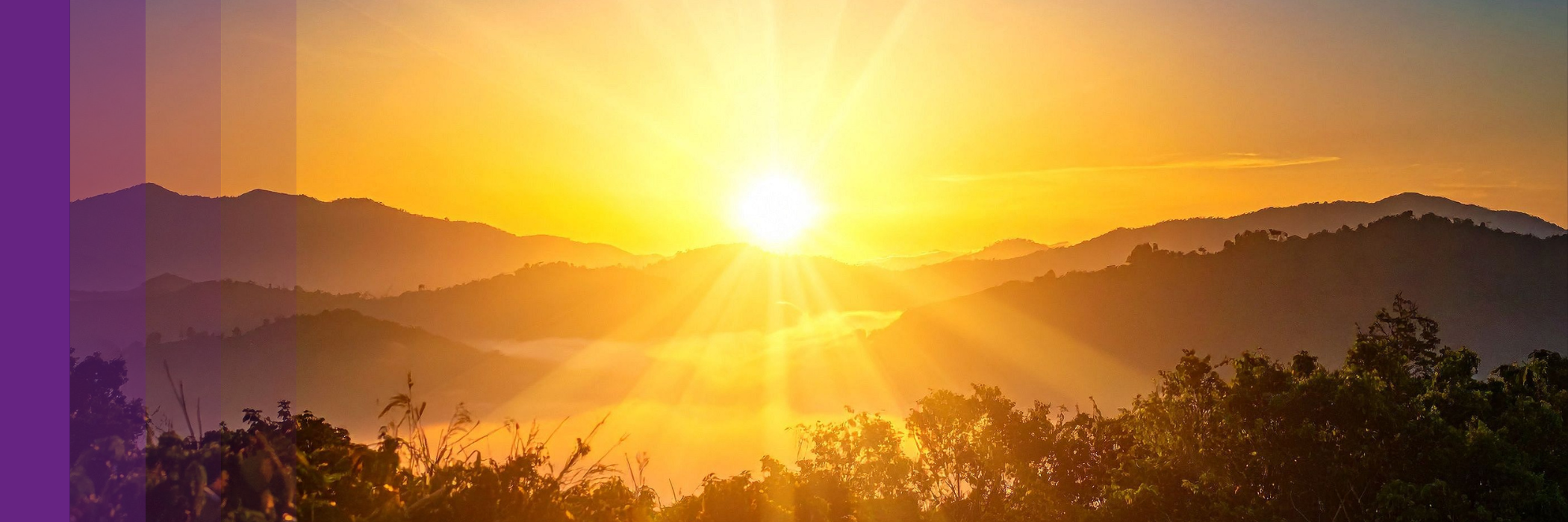 Bring your soul's purposes to life