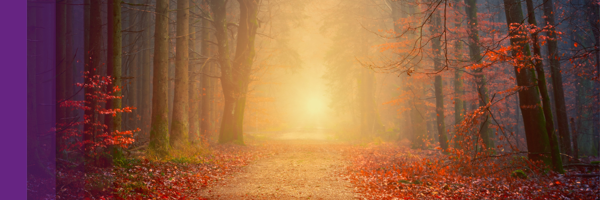 Bring your soul's purposes to life